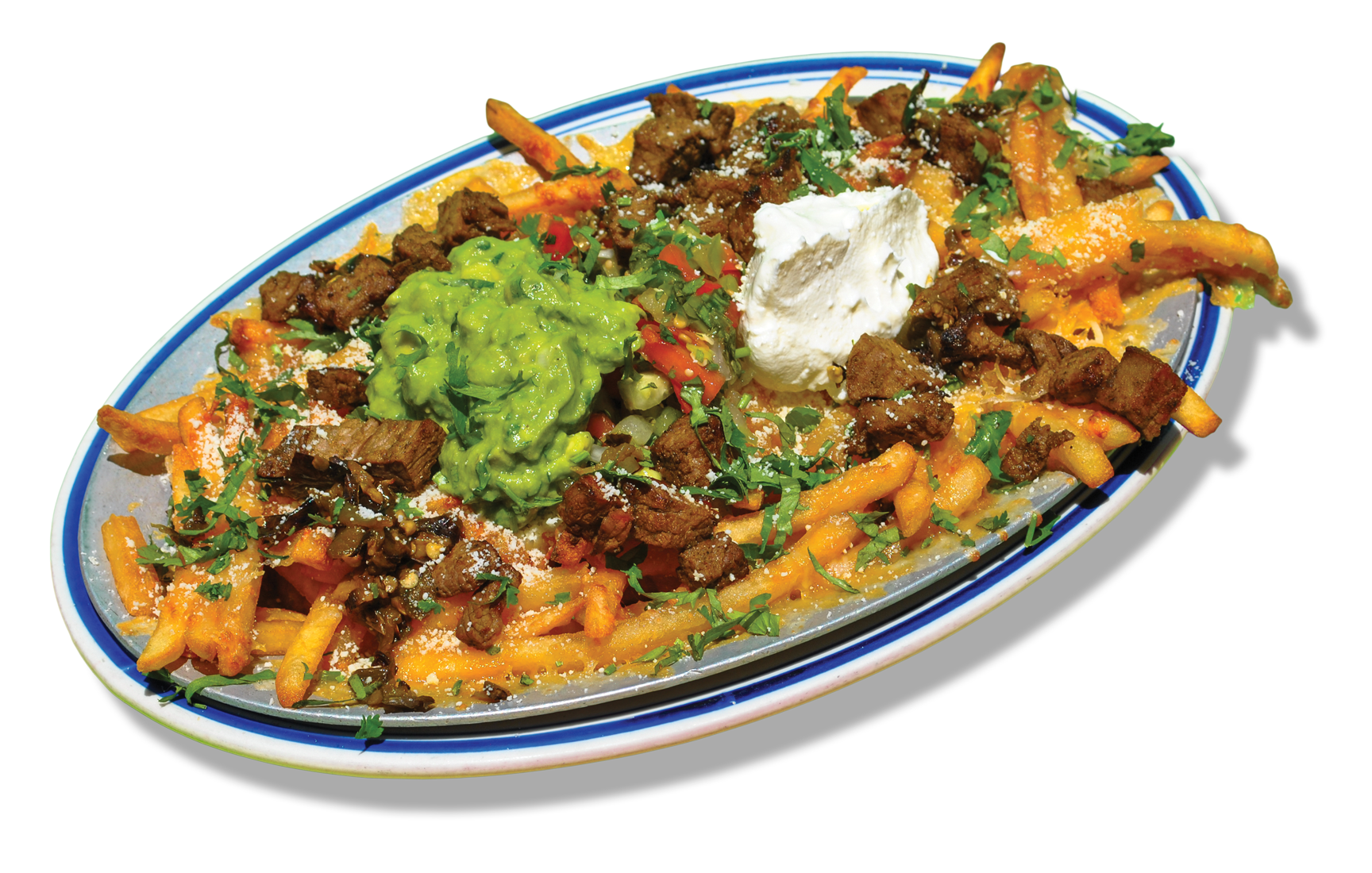 El Granjero Cantina House CarneAsadaFries